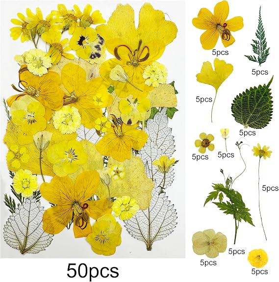 Woohome 200 PCS Natural Dried Pressed Flowers and Leaves for Resin Jewelry Candle Soap Vase Making Nail Card Scrapbook Art Craft Floral Decors