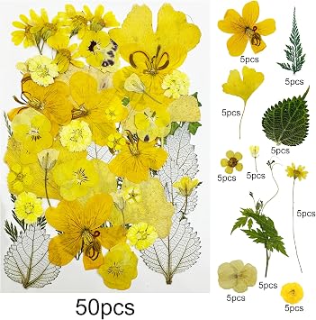 Woohome 200 PCS Natural Dried Pressed Flowers and Leaves for Resin Jewelry Candle Soap Vase Making Nail Card Scrapbook Art Craft Floral Decors