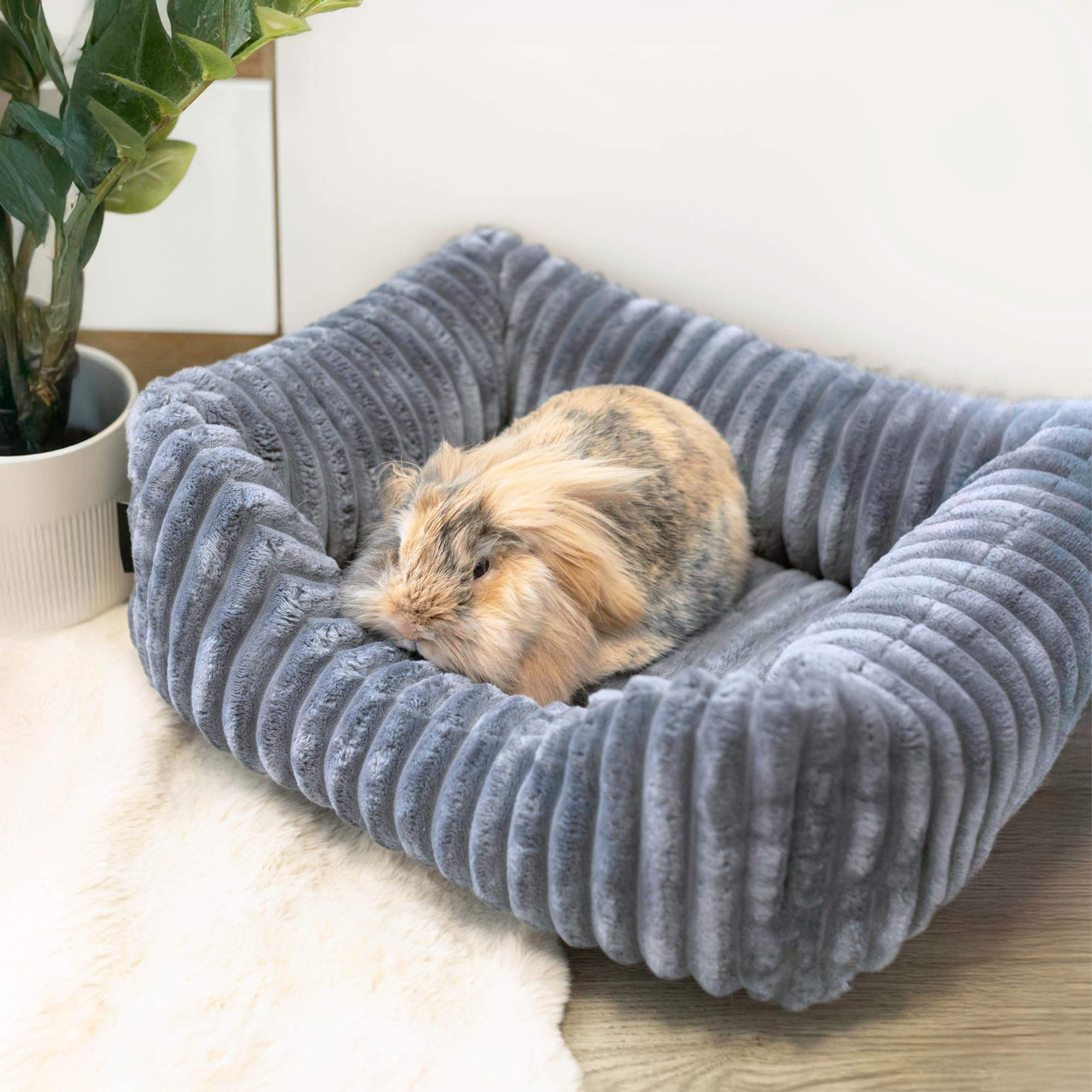 4L Textil Bella Plüsch-Hundebett Premium-LINE Kuscheliges Hundekörbchen aus Cord Katzenkorb Hundekorb für Welpen Hundebett flauschig Hundesofa kleine Hunde (Dunkelgrau, 90x70 cm)