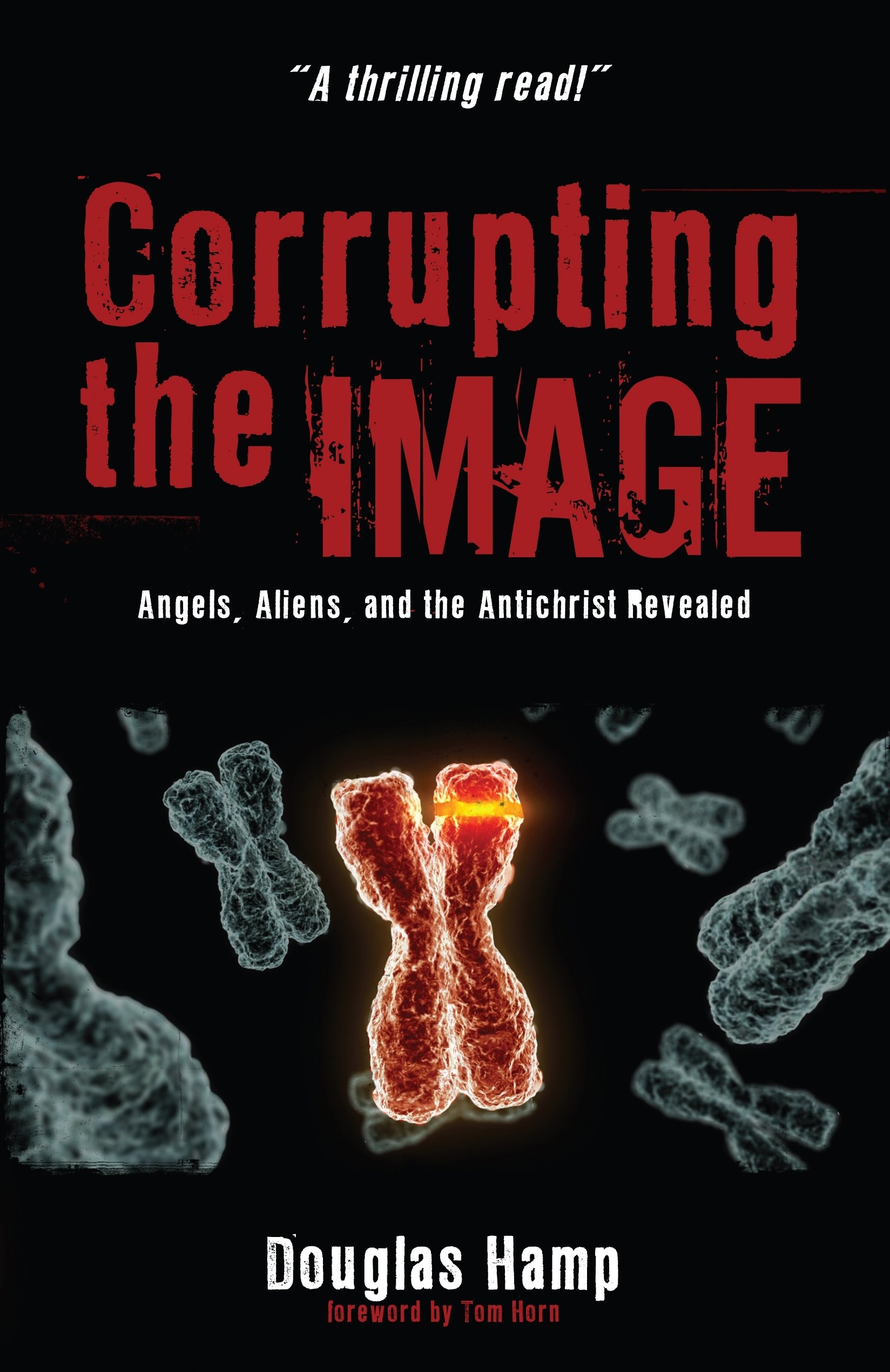 Buy Corrupting the Image: Angels, Aliens, and the Antichrist Revealed — BookShops.in