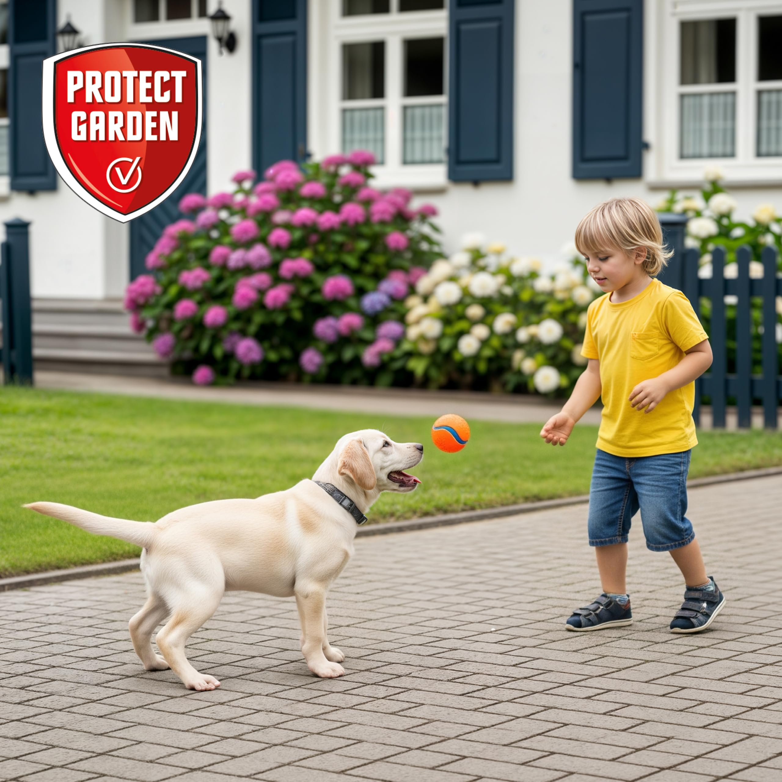 PROTECT GARDEN Permaclean Grundstoff Acetum, turboschnelle Beseitigung von Unkraut auf Wegen, Plätzen und Terrassen, 5 Liter Kanister