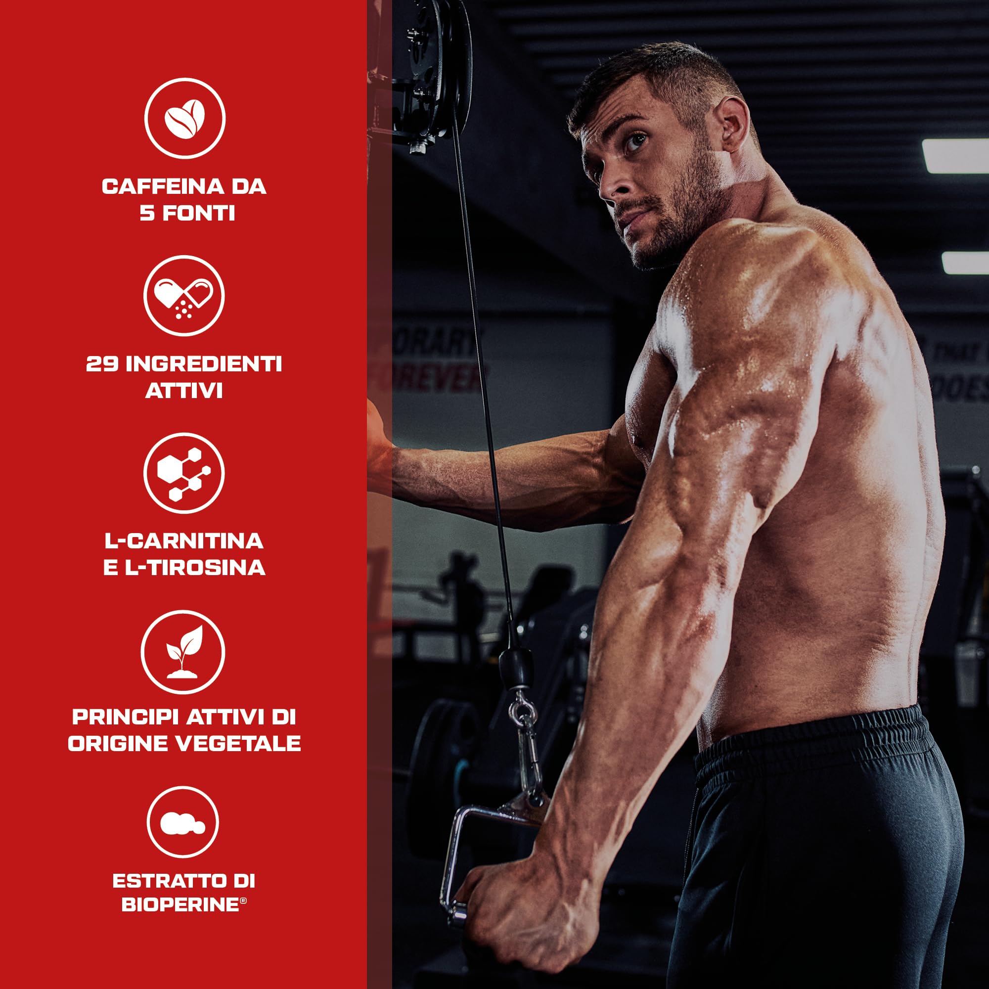 Scitec Nutrition Revex HC | L-carnitina | HCA | CLA | Aminoacidi | Estratti vegetali | Vitamine e minerali | con caffeina, 120 Mega Capsule