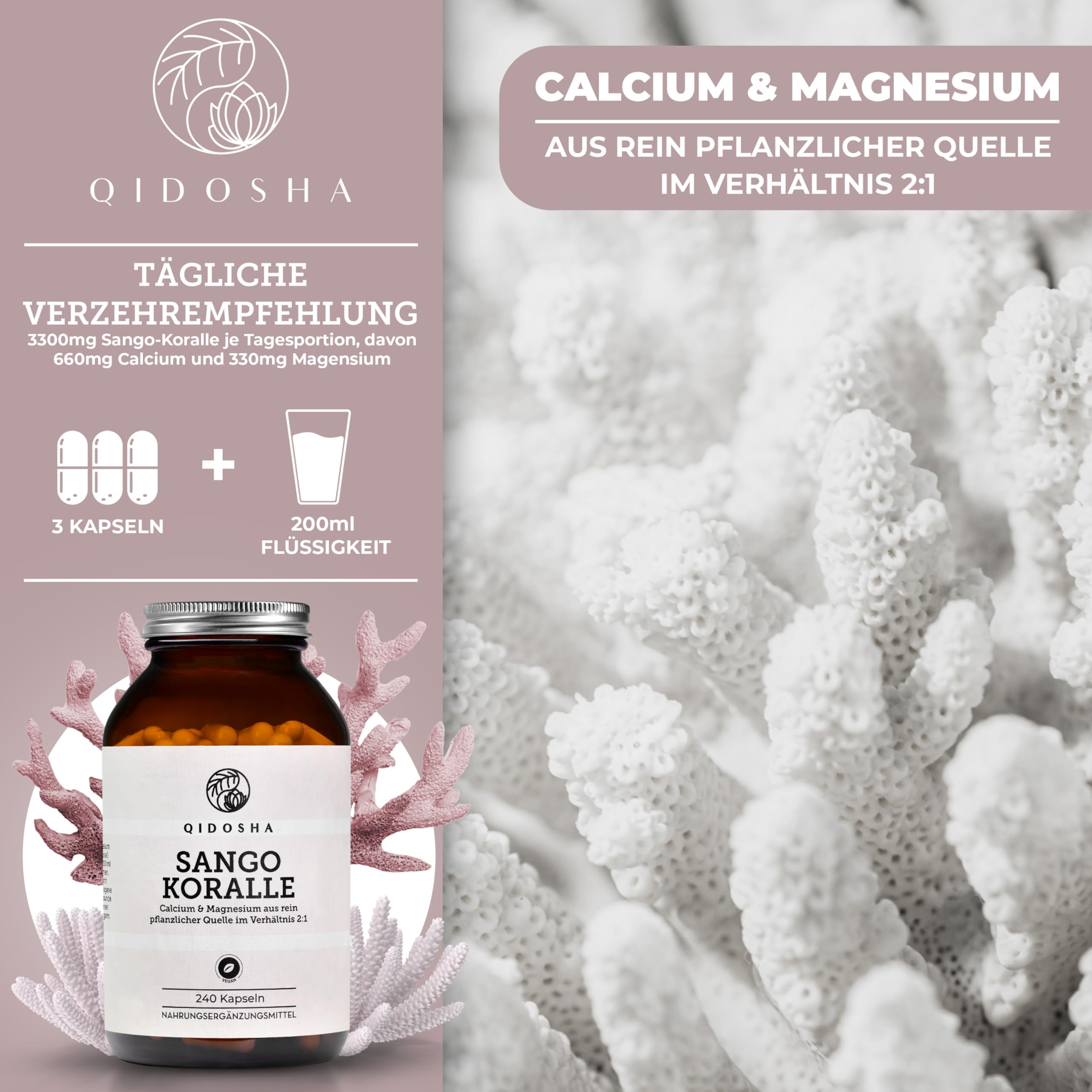 QIDOSHA® Sango Meereskoralle Kapseln, 240 Stk/Glas, hochdosiert mit 660mg Calcium & 330mg Magnesium (optimales 2:1 Verhältnis), nachhaltige Ernte, deutsche Fertigung, jede Charge laborgeprüft