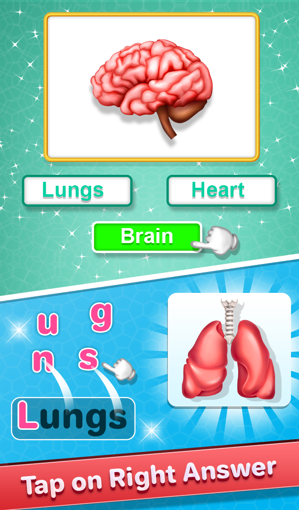 Human Body Parts Kids Learning - App on Amazon Appstore