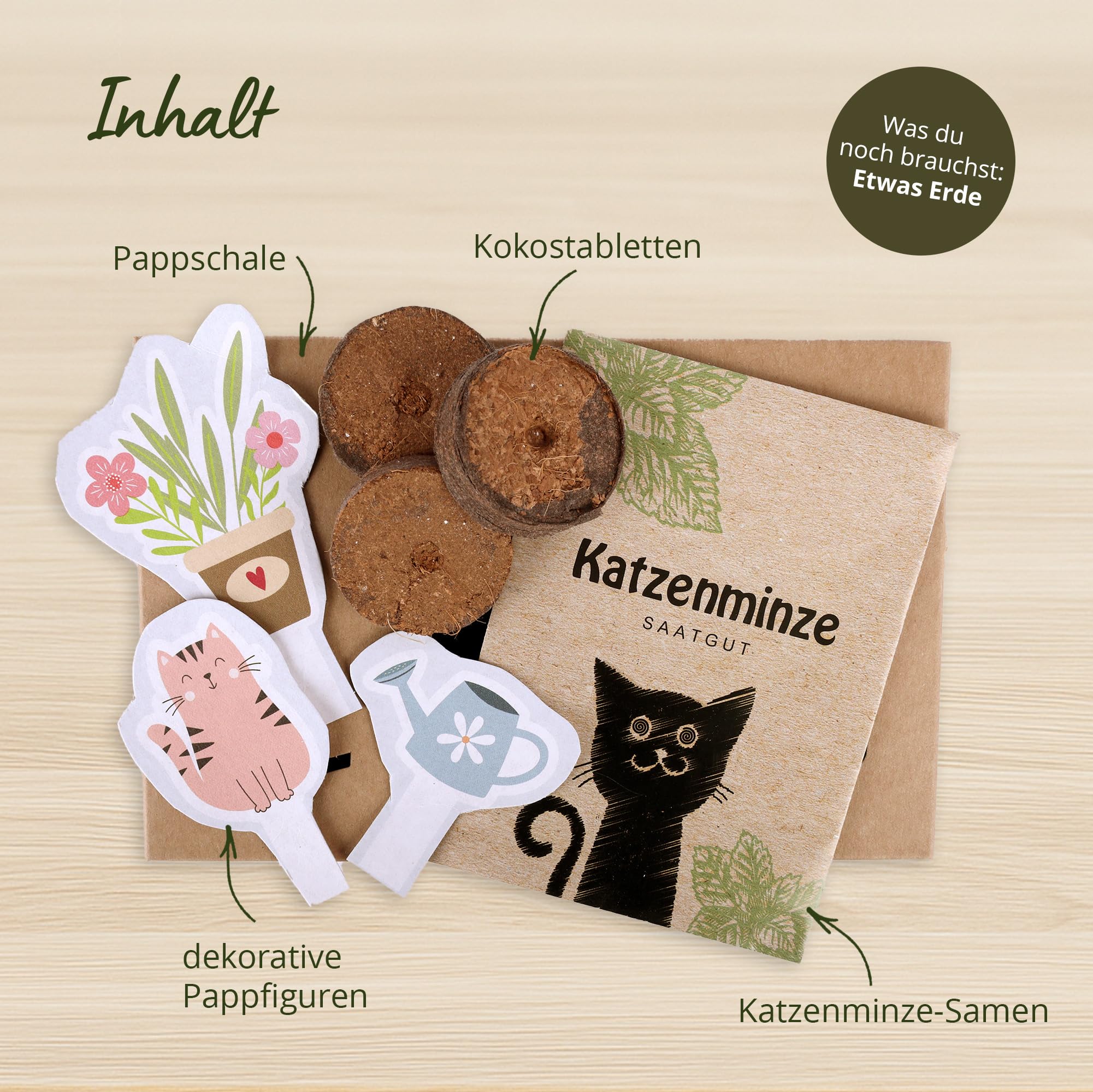 Tool & Tree mini-Garten Katzenminze – Pop-Up DIY Garten Set für Katzenliebhaber & Familien – inkl. Katzenminze-Saatgut, Anzuchtschale & Bastel-Deko – nachhaltiges Geschenkidee für kreative Köpfe