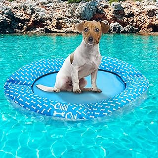 ALL FOR PAWS Dog Float for Pool no Need to inflate Pool Float for Dogs Dog Float Raft Dog Swimming Float Non Inflatable Stay Dry Float for Small and Medium Dogs