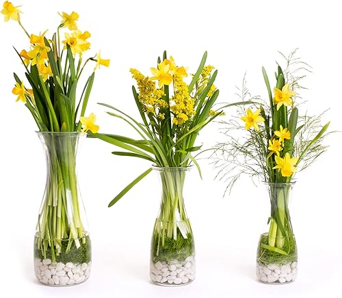 Miniatura 5 de Botellas de vidrio de 34 onzas (1 litro), paquete de 4 jarras de agua, decantadores de vino, bebidas mixtas, mimosas, centros de mesa, artes y