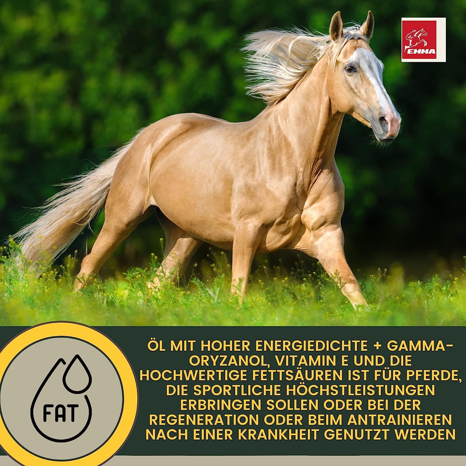 Amino Pâte pour cheval 4 × 30 ml – Acides aminés pour chevaux avec L-carnitine & vitamine E – Renforcement et régénération musculaire – Pâte vitaminée Muscle Booster Alternative à la poudre de