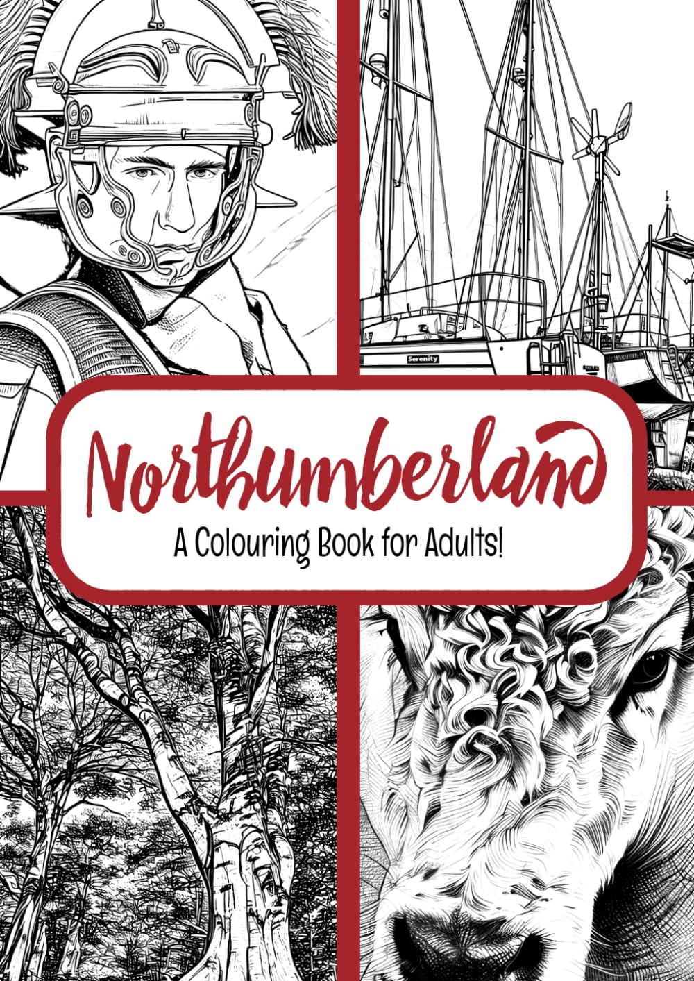 Northumberland: A Colouring Book for Adults!: Forty-four Northumbrian scenes