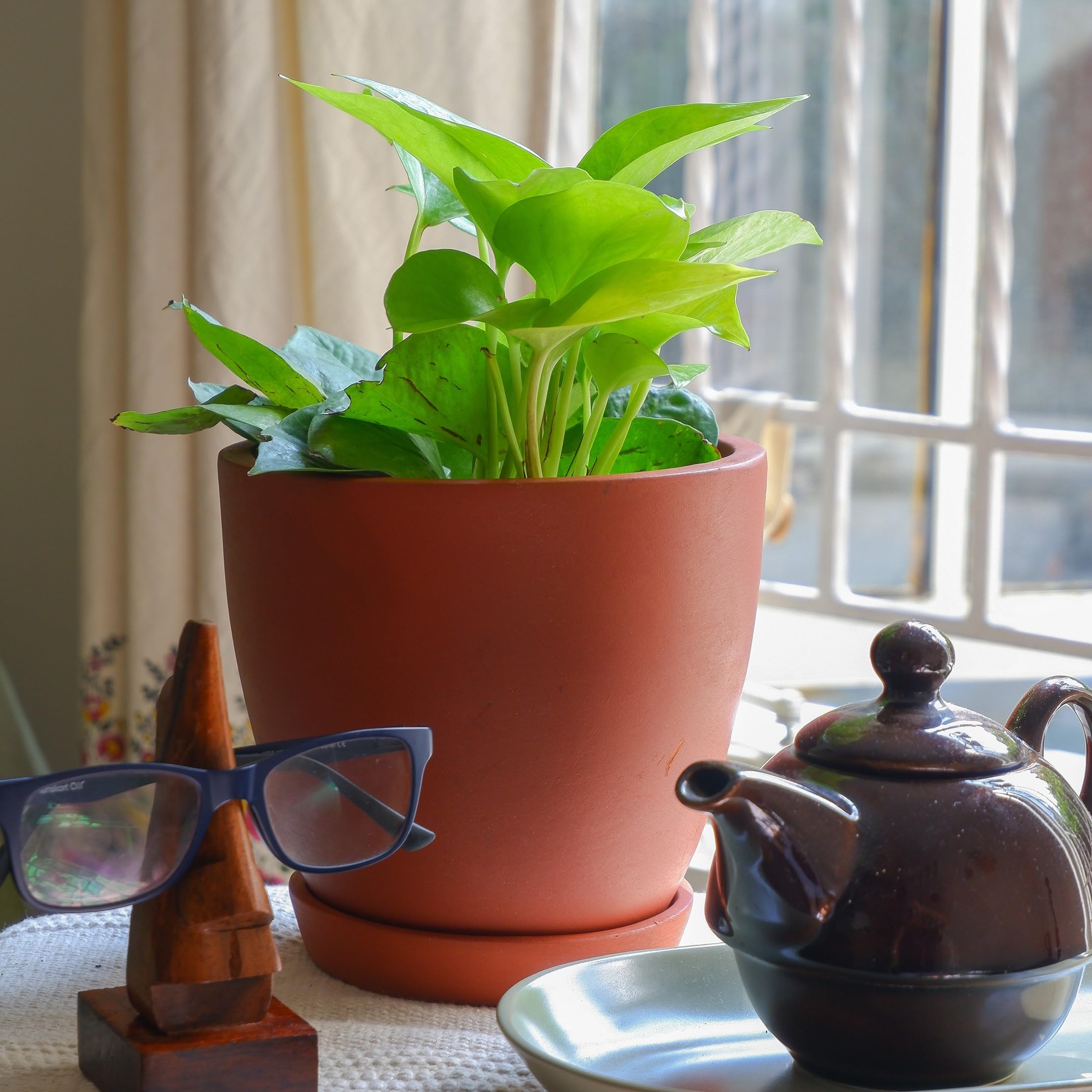 Prakrti Garden Boutique 6 inch Dawn Terracotta Pot Set of 2, Clay Pot, Plant Pot for Indoor Plants (Product Doesnt Include Plant) (B0CNXBKSDP) Amazon Price History, Amazon Price Tracker