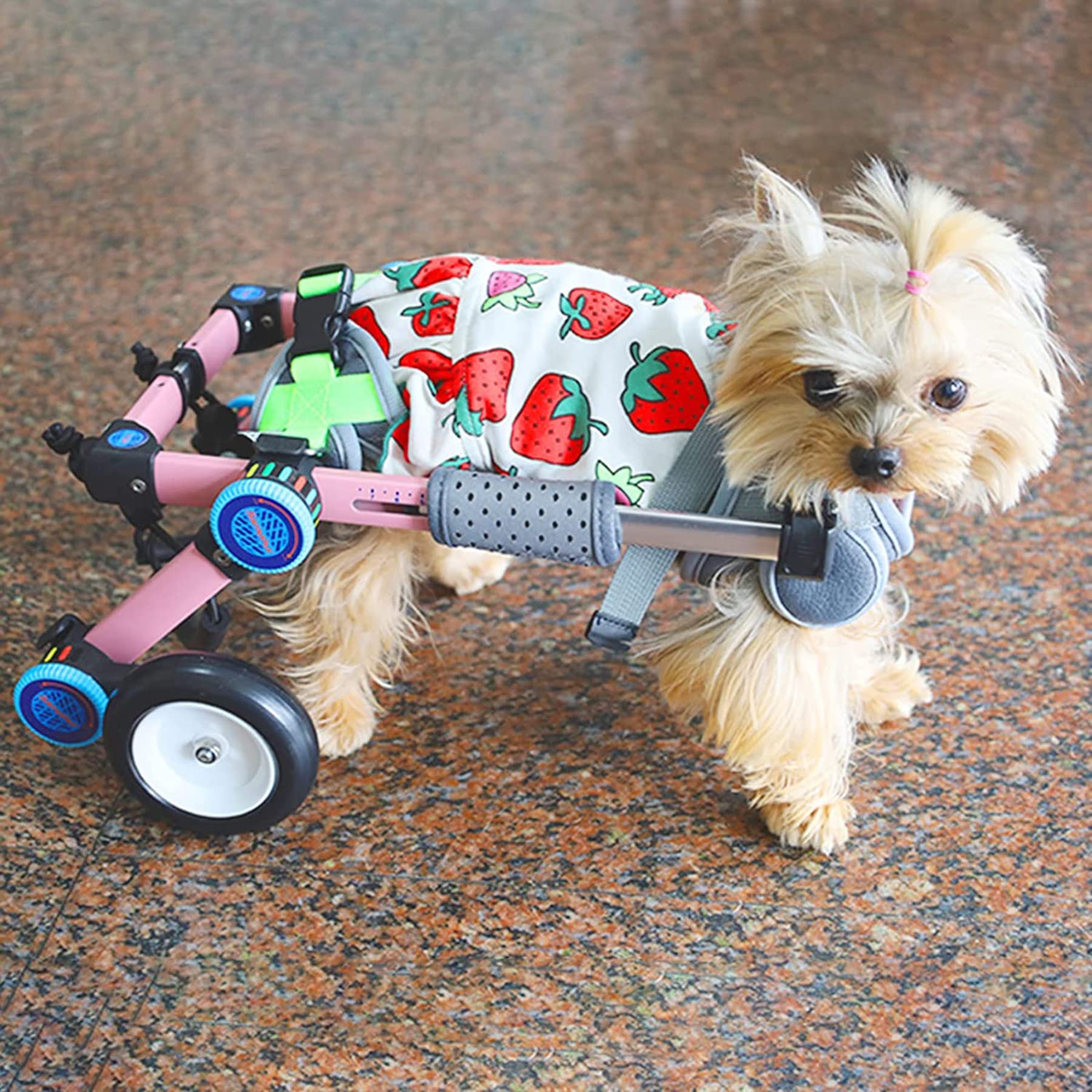KROITY Dog Wheelchair Handicapped Dog Rear Legs Rehabilitation 2 Wheels Dog Cart Pet Wheelchair Aluminum Small Large Medium Dogs Assisted Walk Car Easy Assemble
