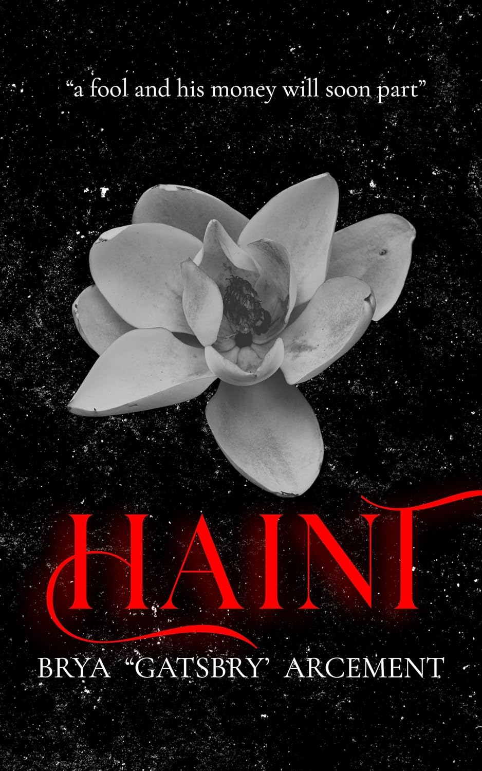 HAINT      Kindle Edition