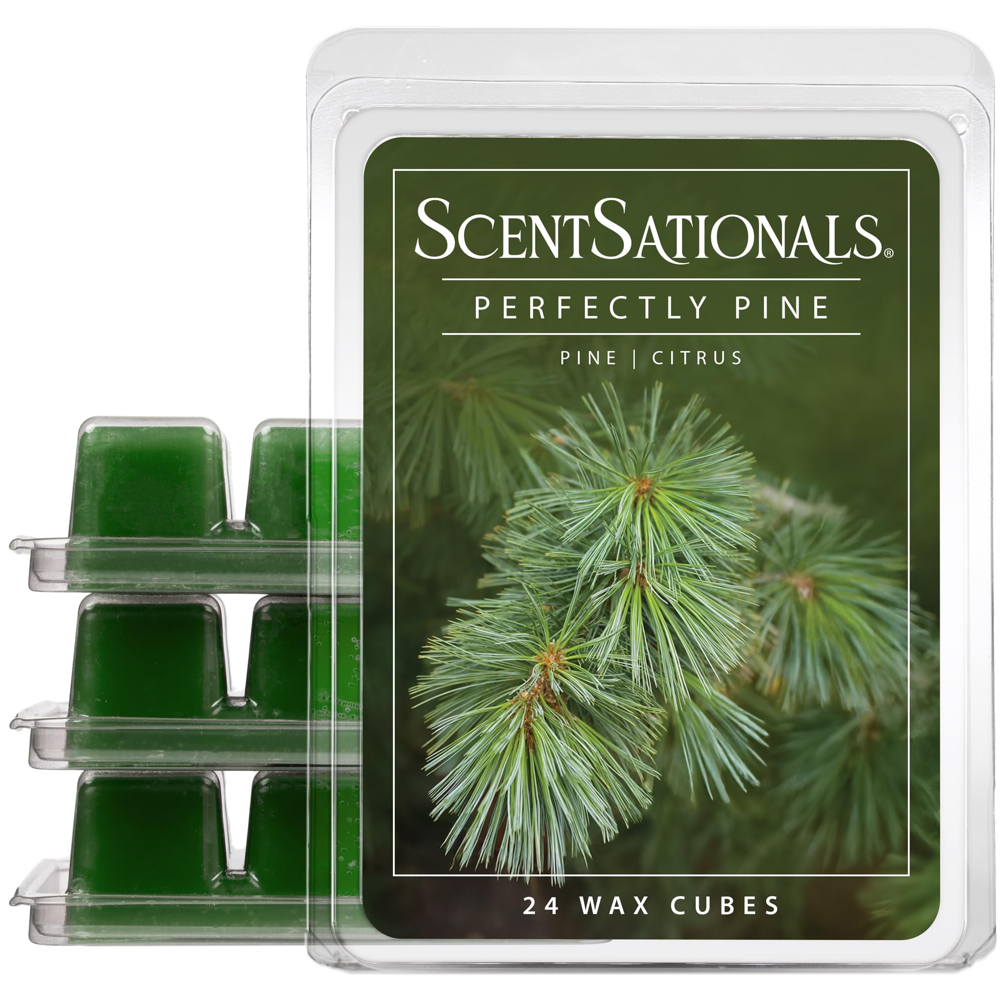 Scentsationals Wax Melts - Perfectly Pine Scented Fragrance - Wax Cubes Pack, Air Freshener - 10oz (24-Cubes)