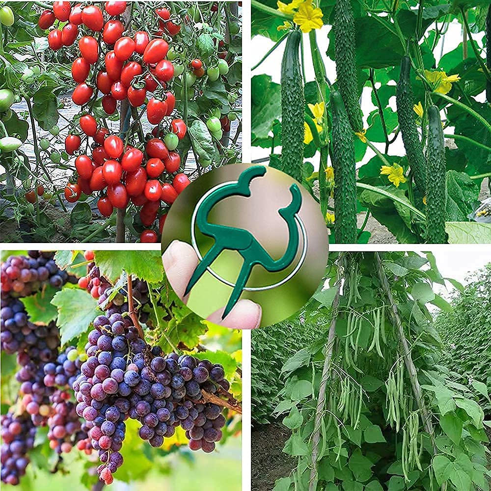 BESSIKON 60 Clips De Plantes,clips De Plantes Pour Tomates,concombres