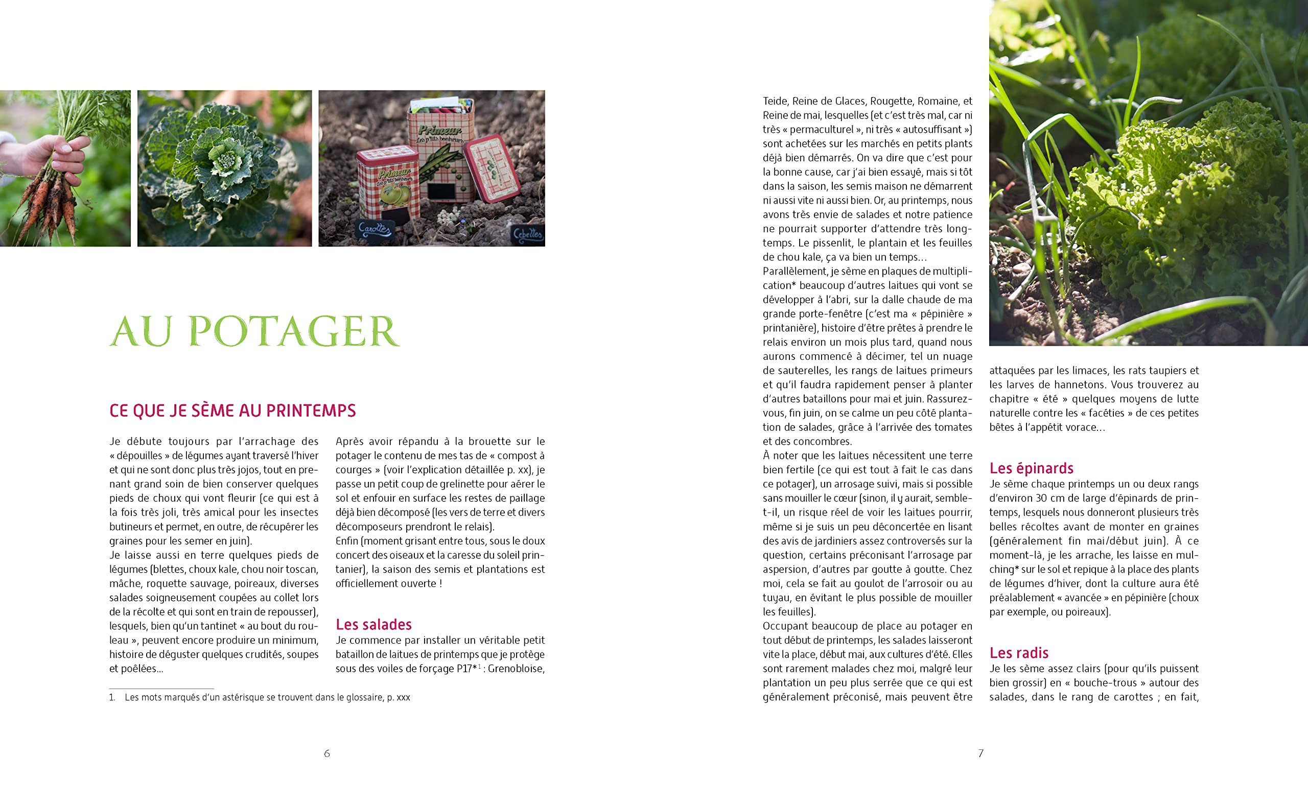 Mon fabuleux jardin en permaculture: Légumes, fruits, fleurs, petit élevage et art de vivre