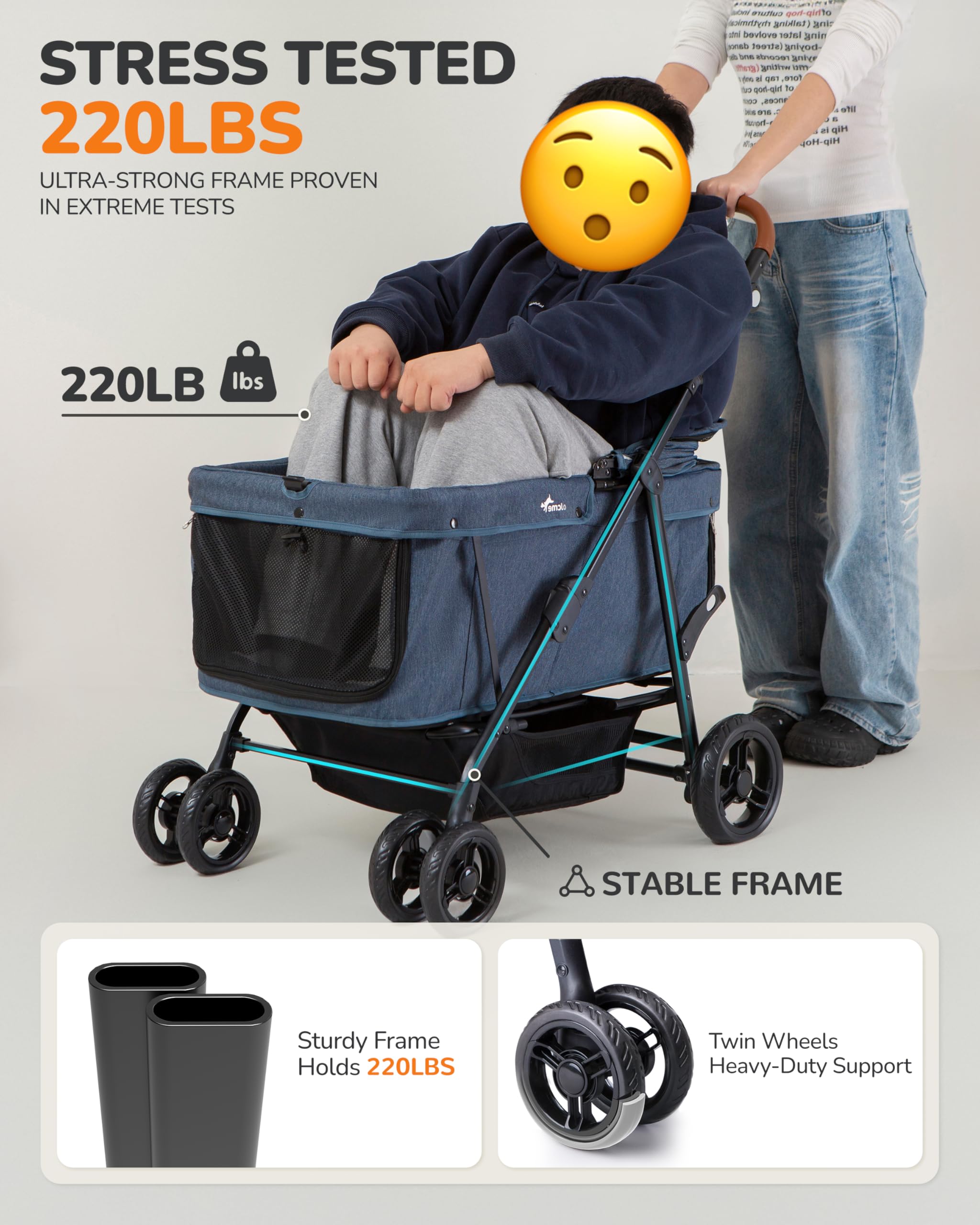 https://m.media-amazon.com/images/I/81VhT8nzDPL.jpg