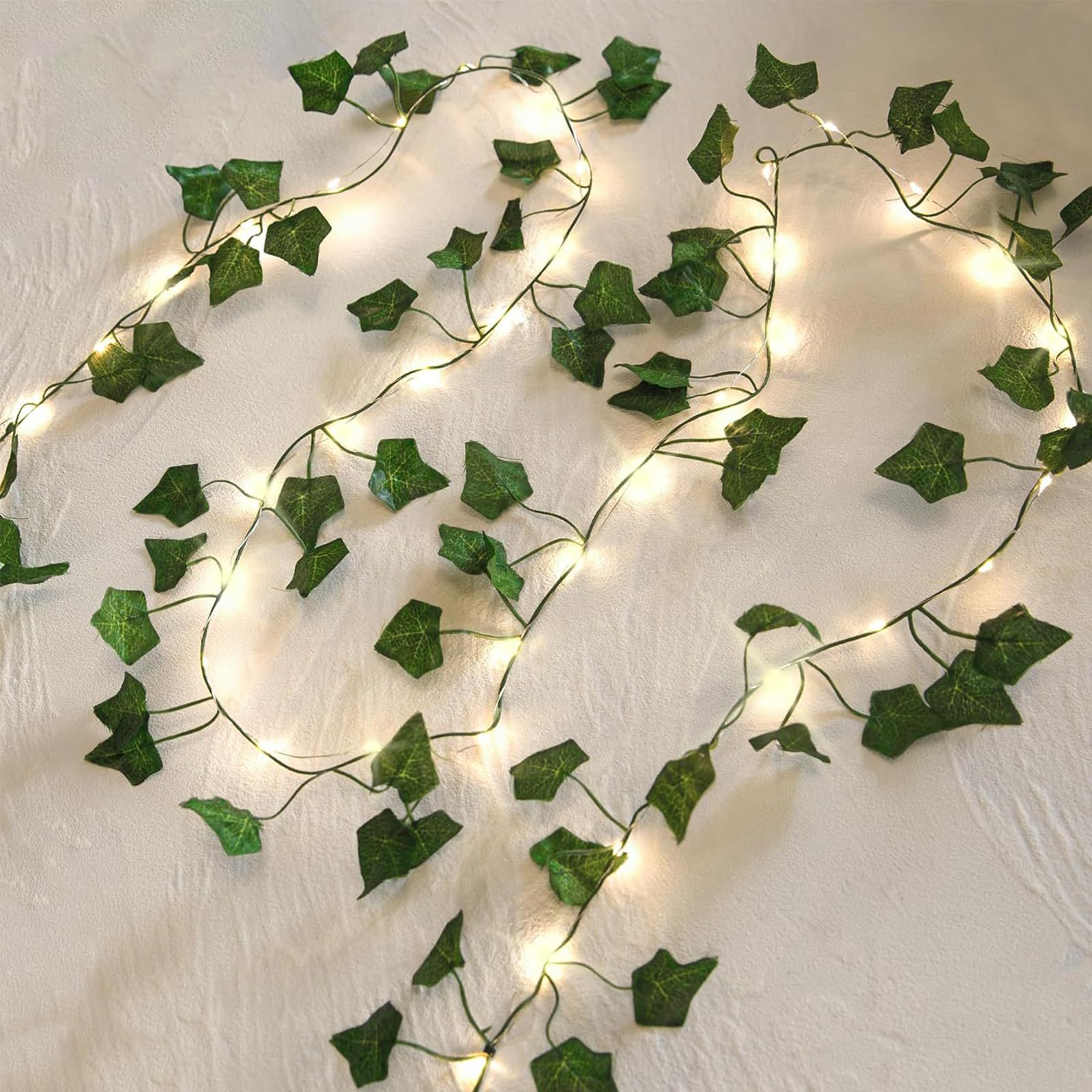 glckskastanie schlafzimmer Glckskastanie (Pachira aquatica) kaufen