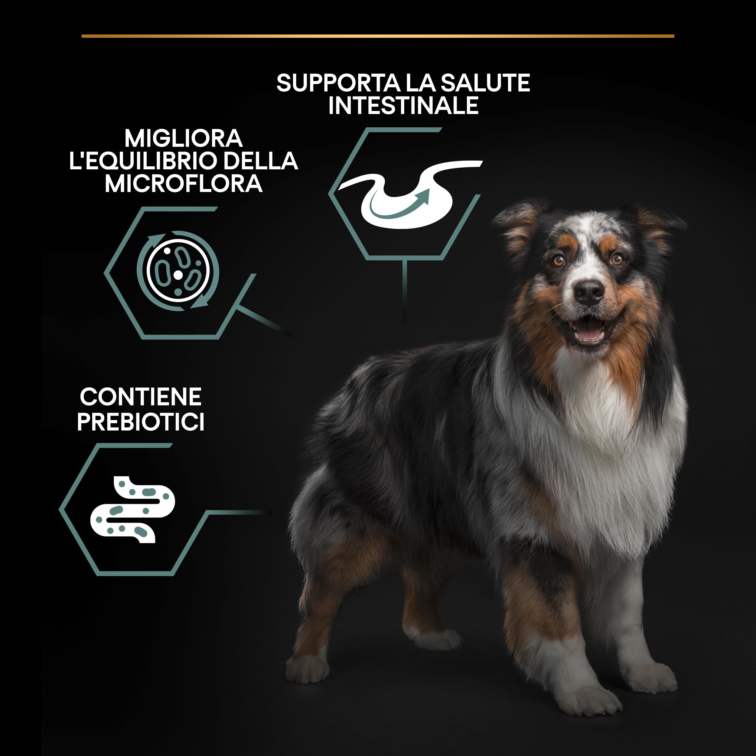 Purina Pro Plan Medium Adult Optidigest Cane Crocchette, 1 Sacco da 14 kg