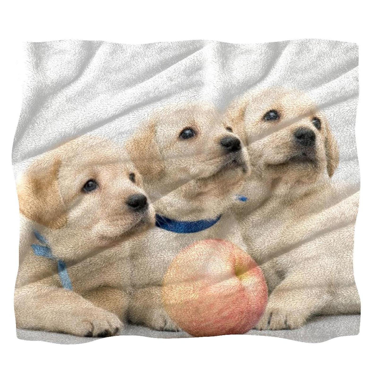 Couvre-lit doux Labrador complet TBOUOBT couverture lit enfant moelleux