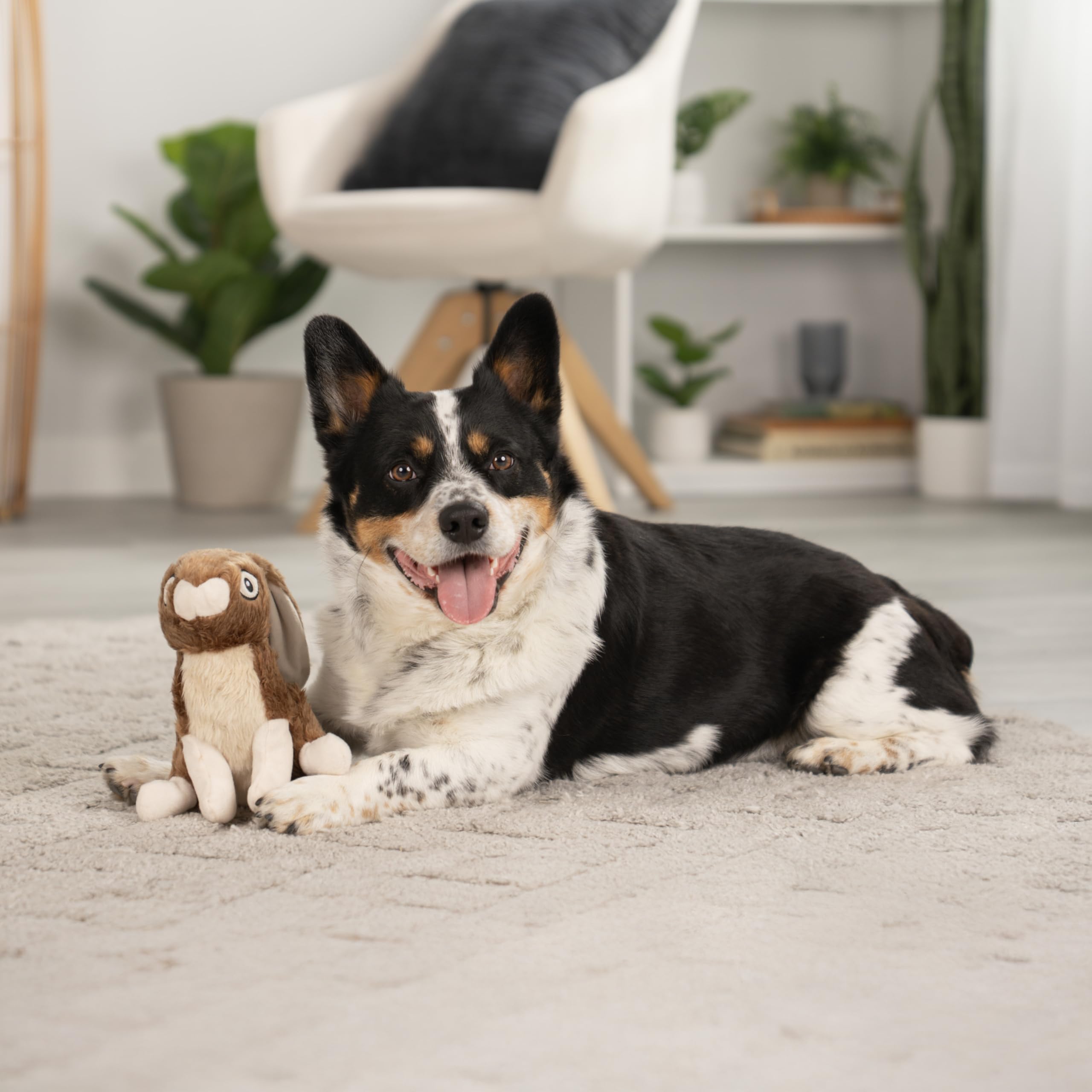 goDog Wildlife Juguete con Chew Guardia