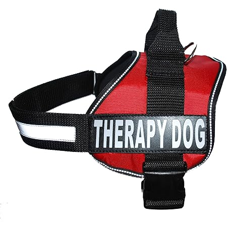 Therapy dog coat Clearance