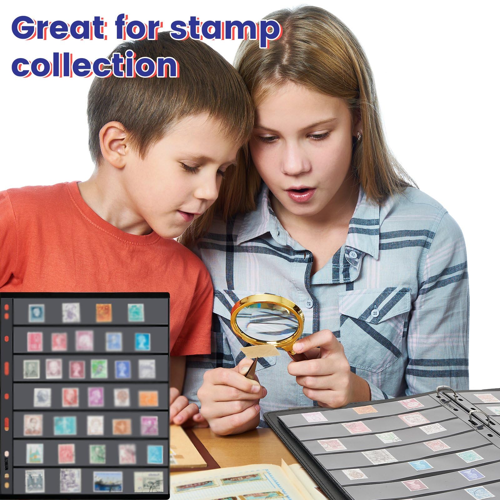 Pages de timbres pour collection de timbres avec pages de timbres pour classeur d'album de timbres avec pochettes standard à 9 trous pour collectionneurs de timbres (7 feuilles)