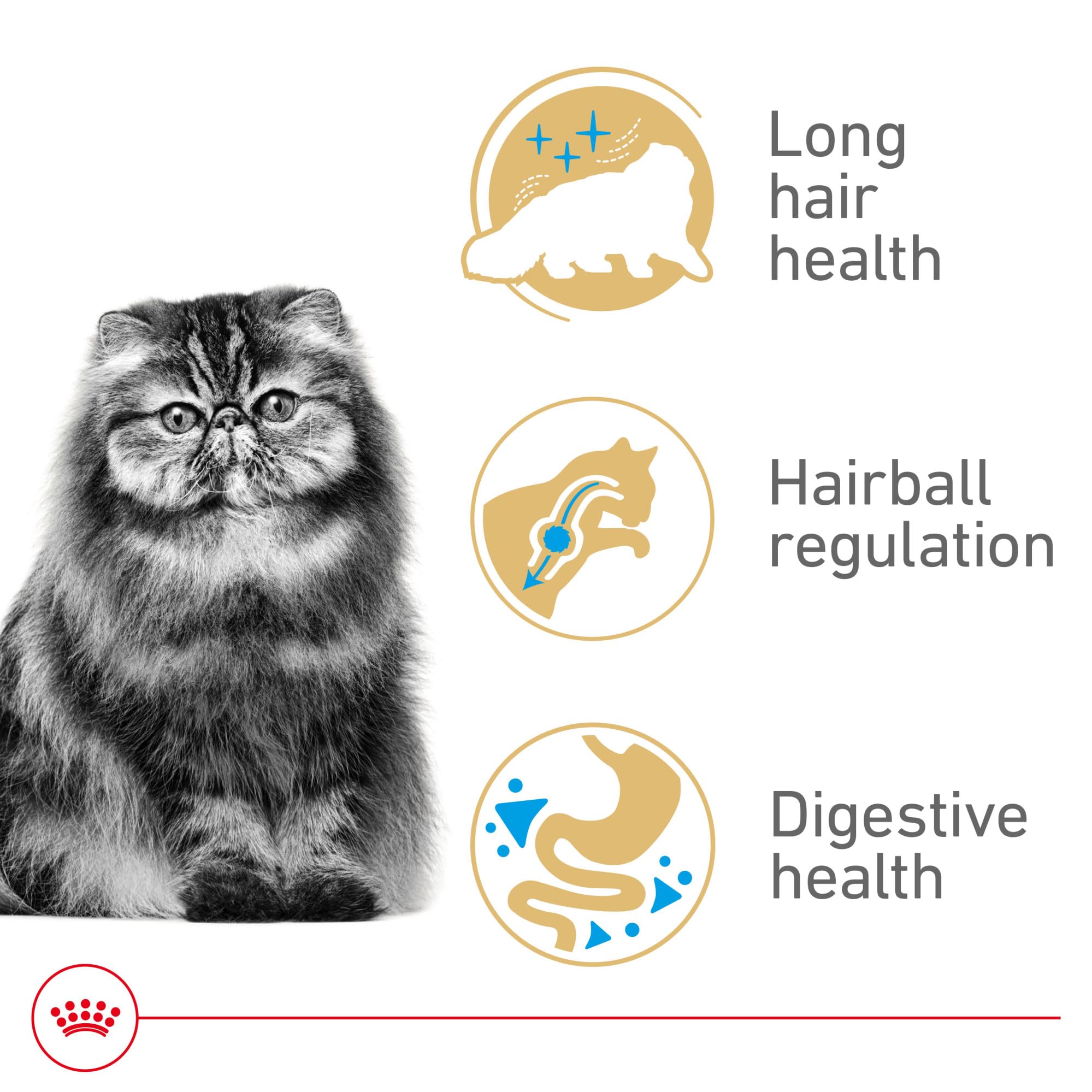 ROYAL CANIN BREED HEALTH NUTRITION Persian dry cat food, 7-Pound by Royal Canin