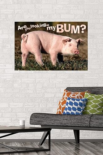Miniatura 2 de Trends International Póster de pared de animales - cerdo - Estás mirando a mi trasero Póster de pared, 22.375 x 34 pulgadas, versión premium sin
