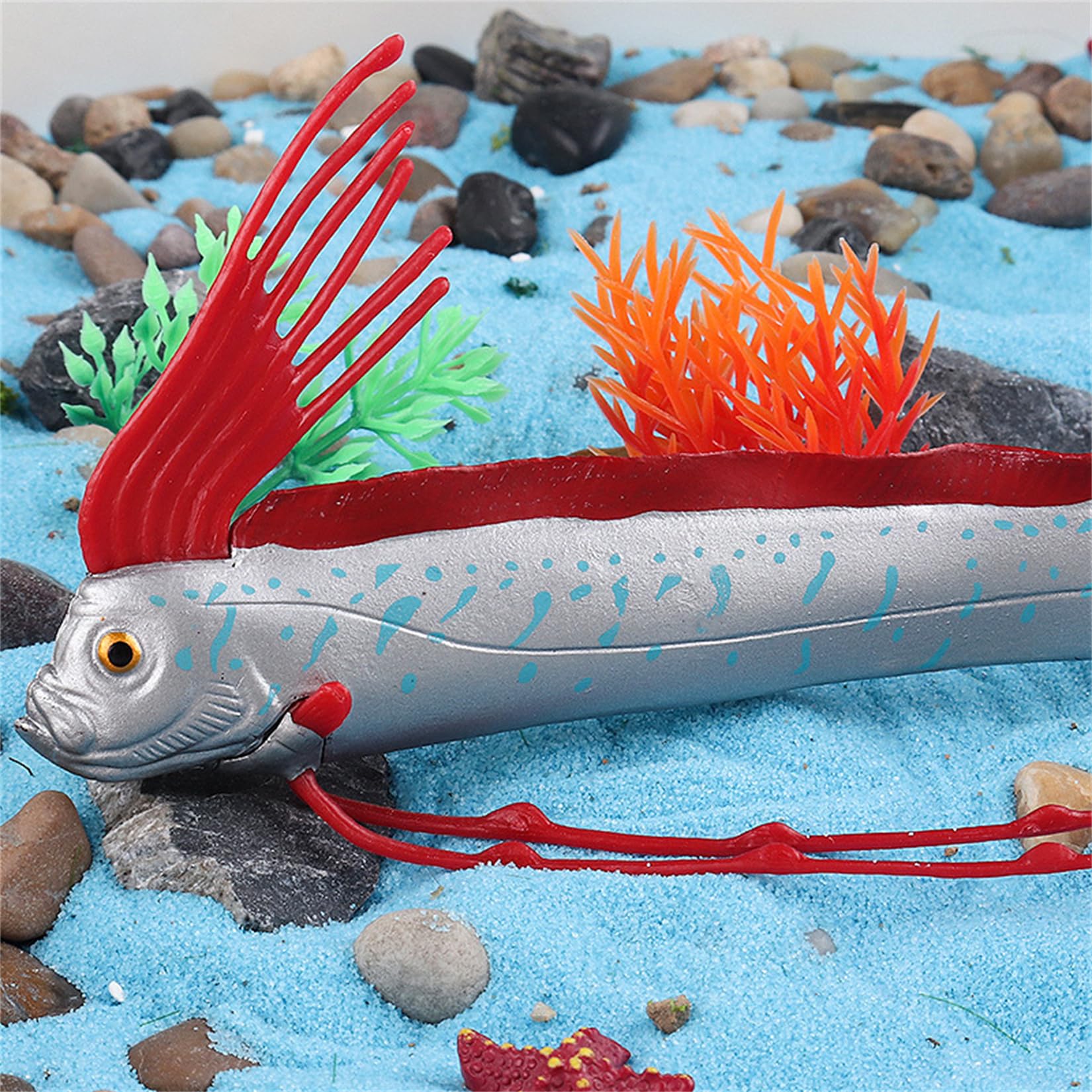 Amazon | EUHELOPA リュウグウノツカイ フィギュア 2色 竜宮の使い