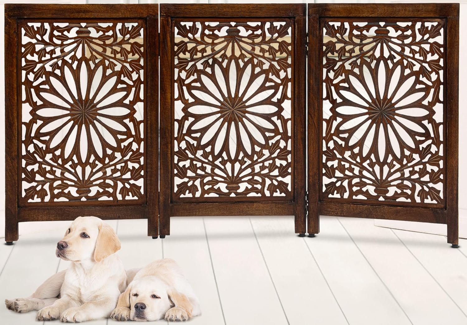 Late Night Deals From Florence!