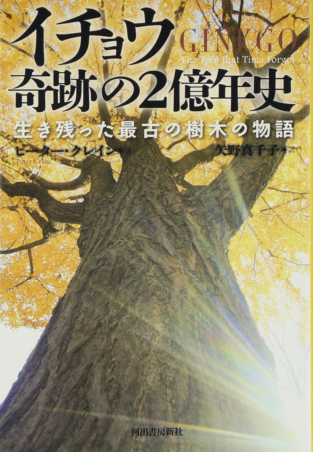 イチョウ 奇跡の2億年史 生き残った最古の樹木の物語 ピーター クレイン Crane Peter 真千子 矢野 本 通販 Amazon