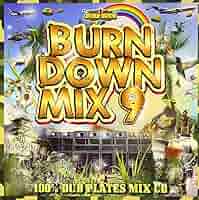 Amazon.co.jp: BURN DOWN MIX 9: ミュージック