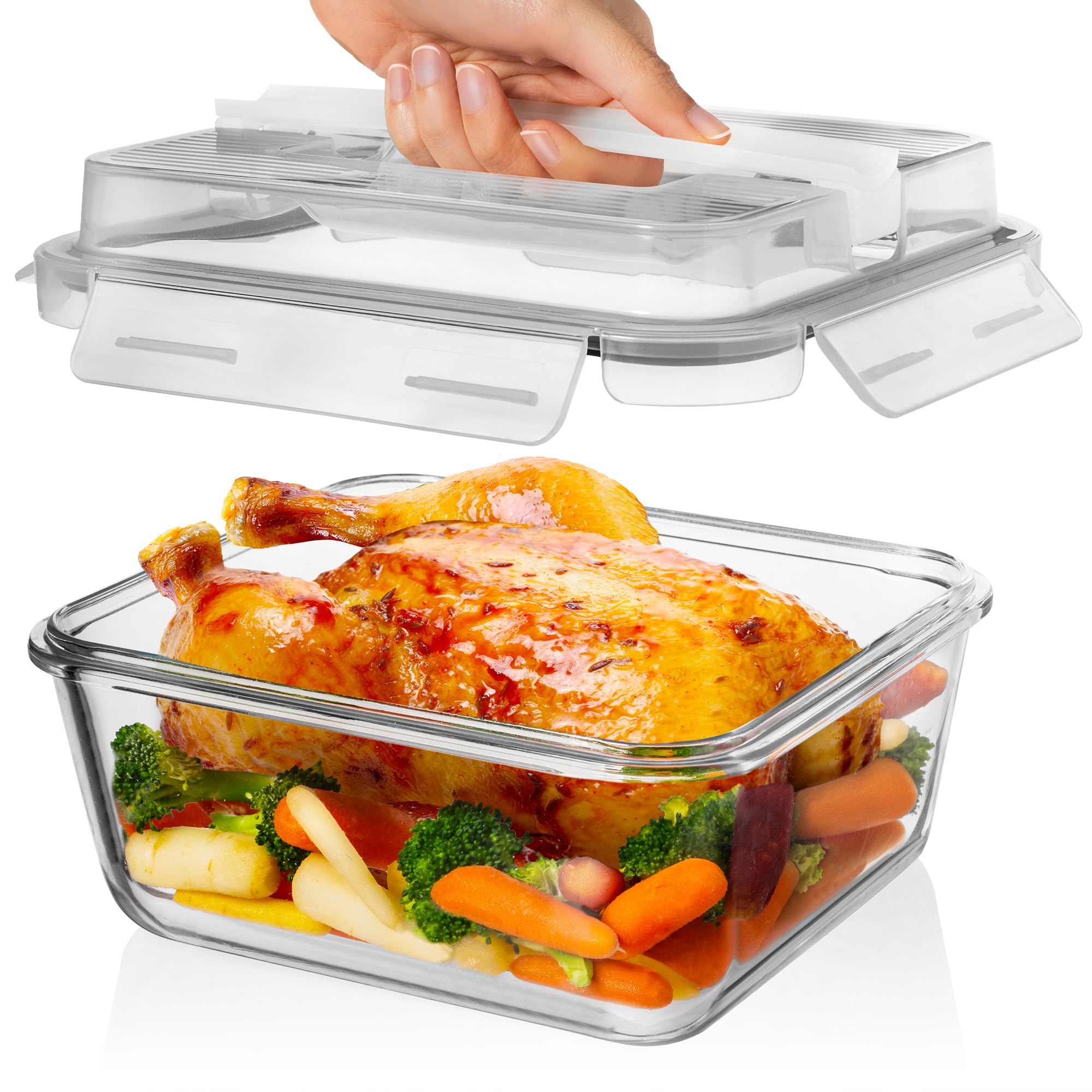 Razab 2700ml / 91Oz Large Glass Storage Container