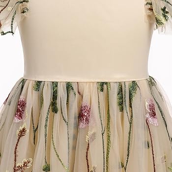 Amazon.com: Embroidery Flower Girl Lace Dress for Kids Wedding Bridesmaid  Pageant Party Floral Embroidered Dress Ruffle Sleeve Tea Party Dresses for  Girls Tulle Dress Cute Kids Graduation Dresses Apricot 3-4: Clothing, Shoes