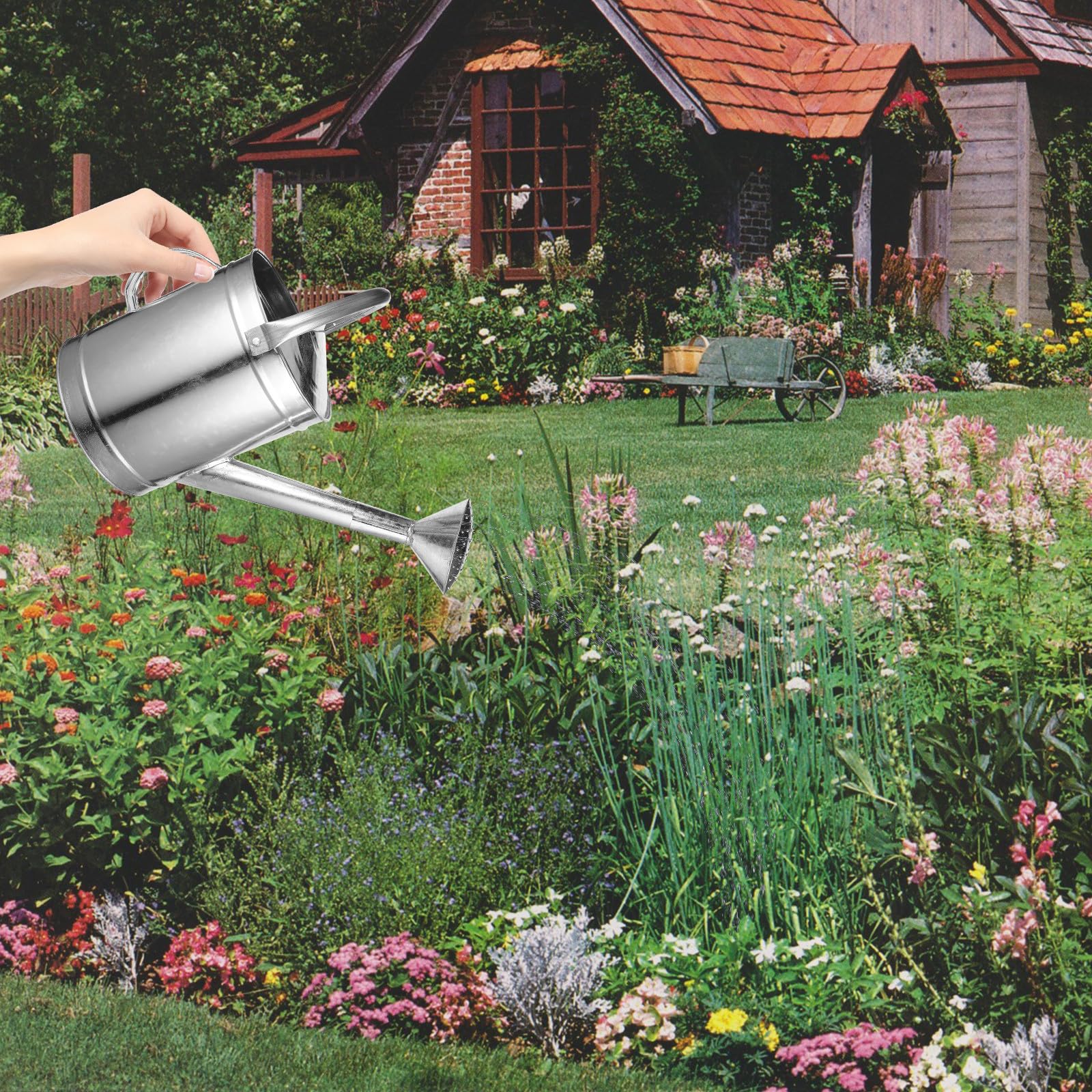 Arrosoir en Métal 5l Bec Verseur Long et Poignée Ergonomique, Arrosoir D’intérieur ’extérieur pour Plantes, pour Jardinage et Arrosage Facile Plusieurs Styles
