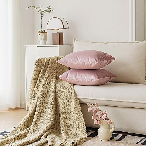 Miniatura 3 de NiNi ALL - Juego de 2 fundas de almohada decorativas de terciopelo, fundas de almohada de terciopelo, fundas de almohada para dormitorio, sala de