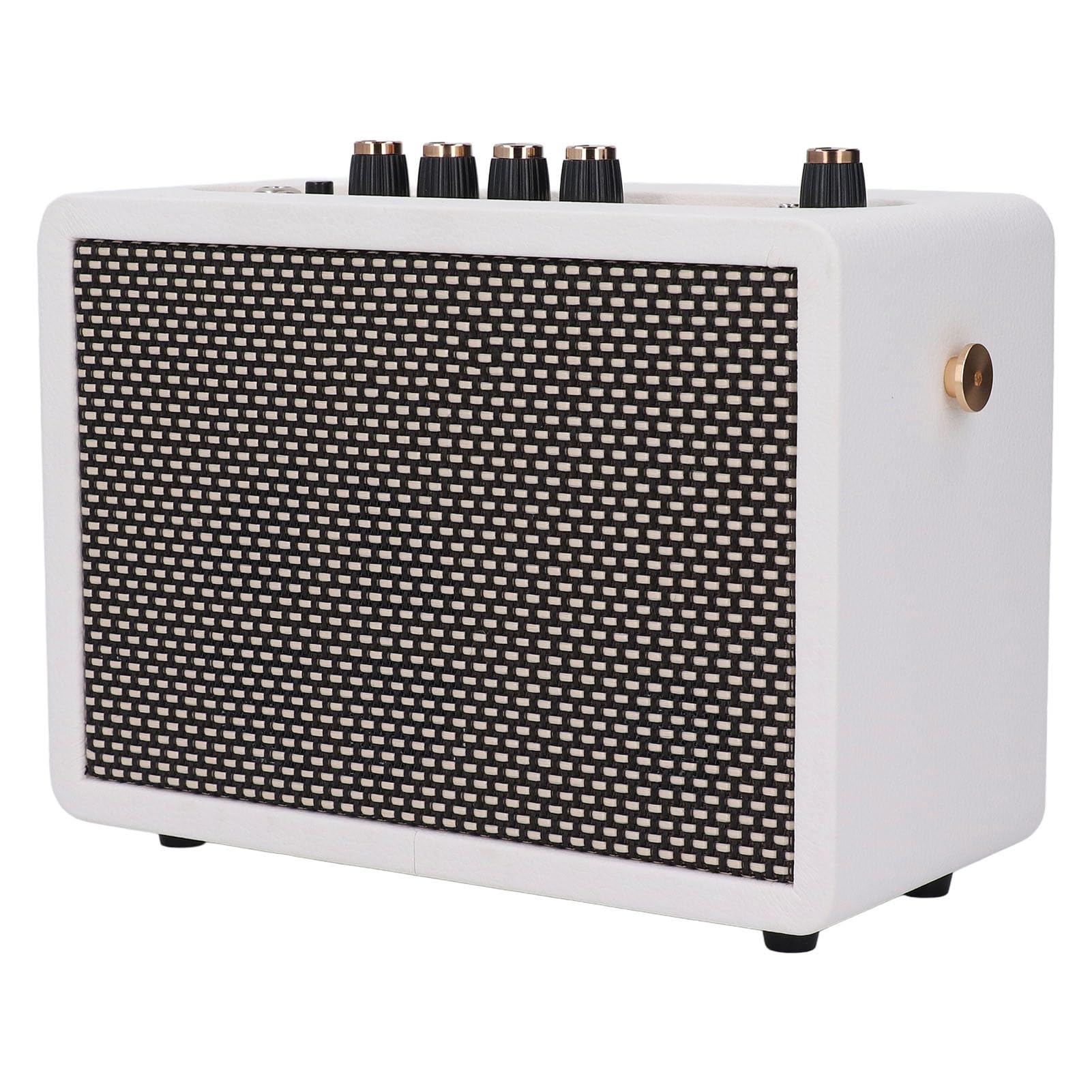 IG-10Pro Kleiner Gitarrenverstärker, 10-W-Desktop-Übungslautsprecher für E-Gitarre mit 3-Zoll-Lautsprechereinheit