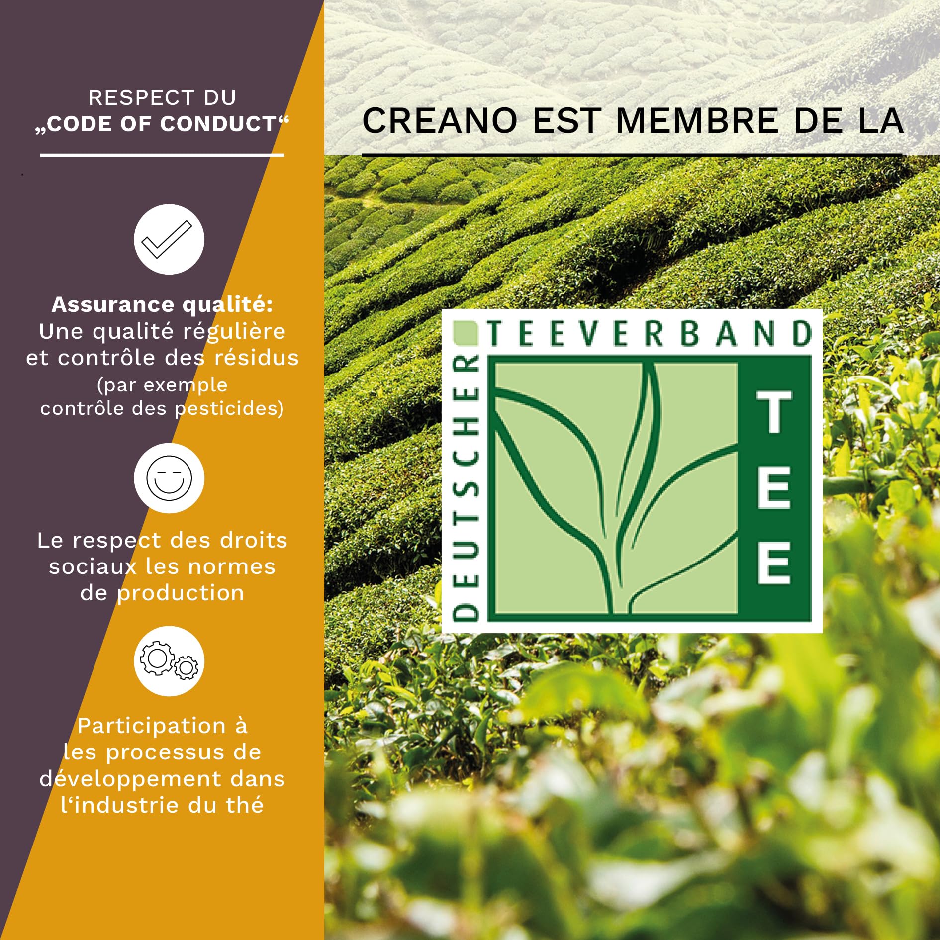 Creano Coffret Teelini 12 pcs – Boîte en Bois avec Fleurs de Thé Blanc & Noir en Portion de Tasse – 8 Variétés – Idée Cadeau Durable & Bureau