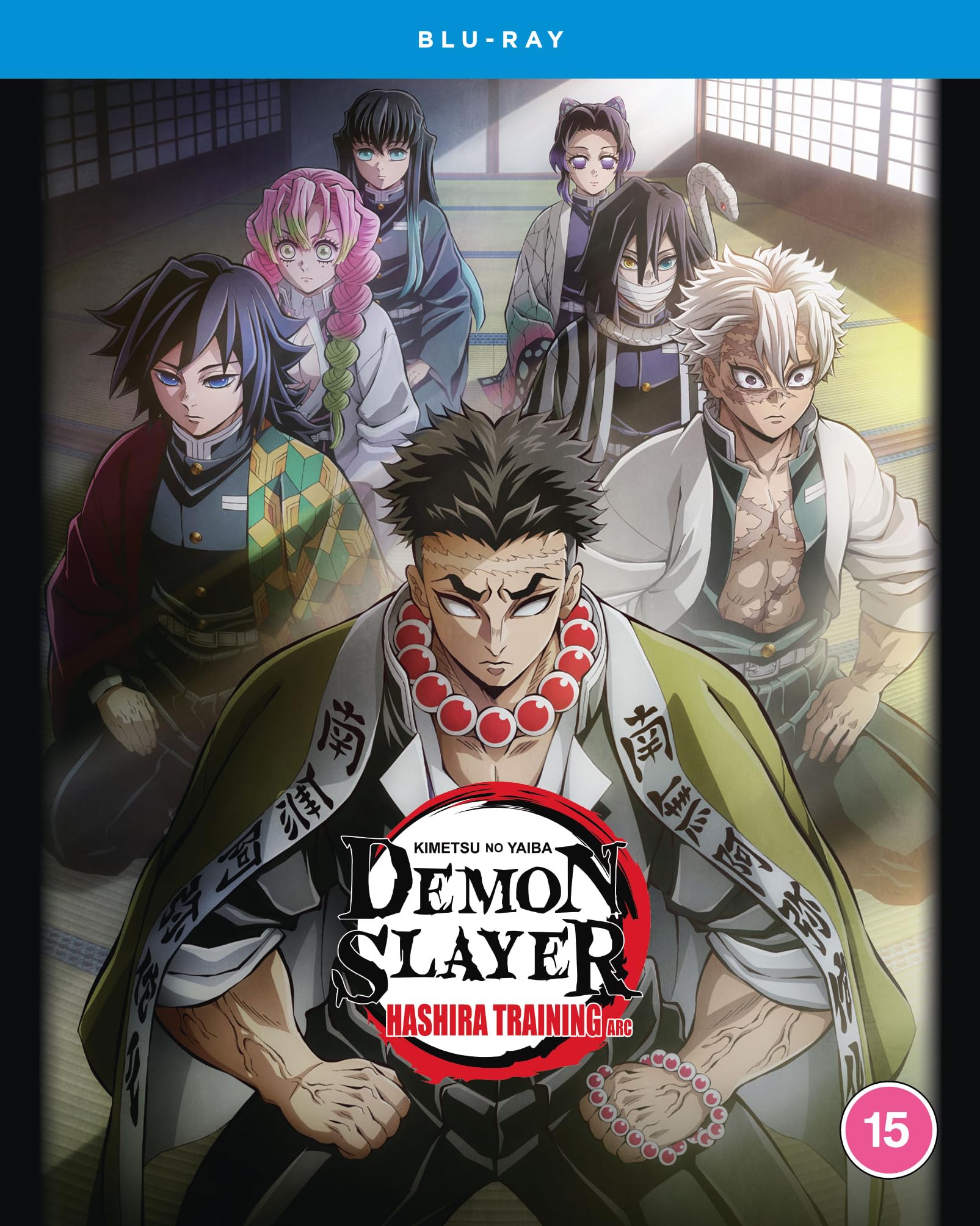Demon Slayer: Kimetsu no Yaiba: Hashira Training Arc [Blu-ray] [Region B]