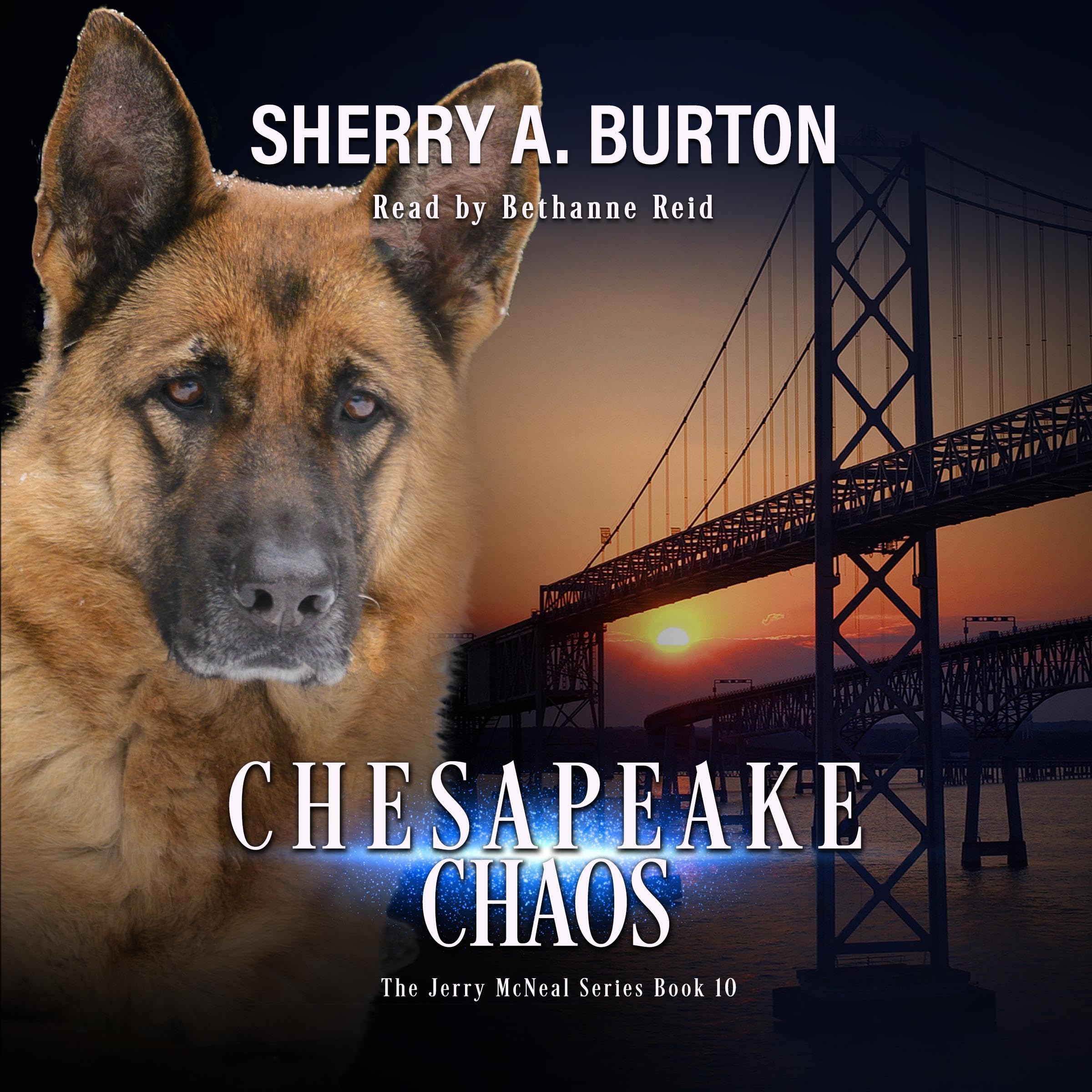 Cover art for Chesapeake Chaos