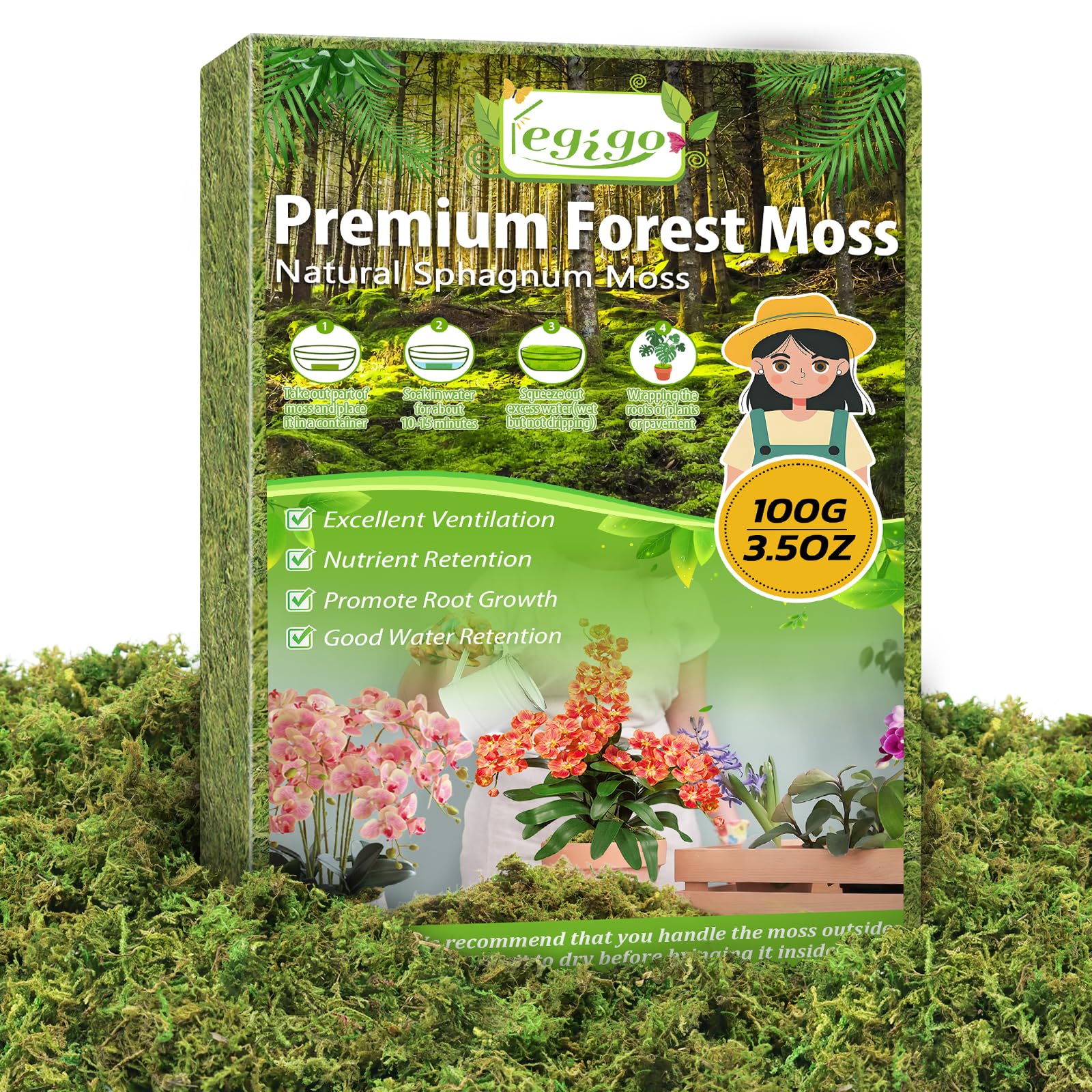 Legigo 100g Real Green Sphagnum Moss for Plants, 4L Natural Decorative Moss for Potted Plants Floral Terrarium Decoration, Dried Plant for Artificial Fairy Gardens, Live Garden, DIY Craft Projects