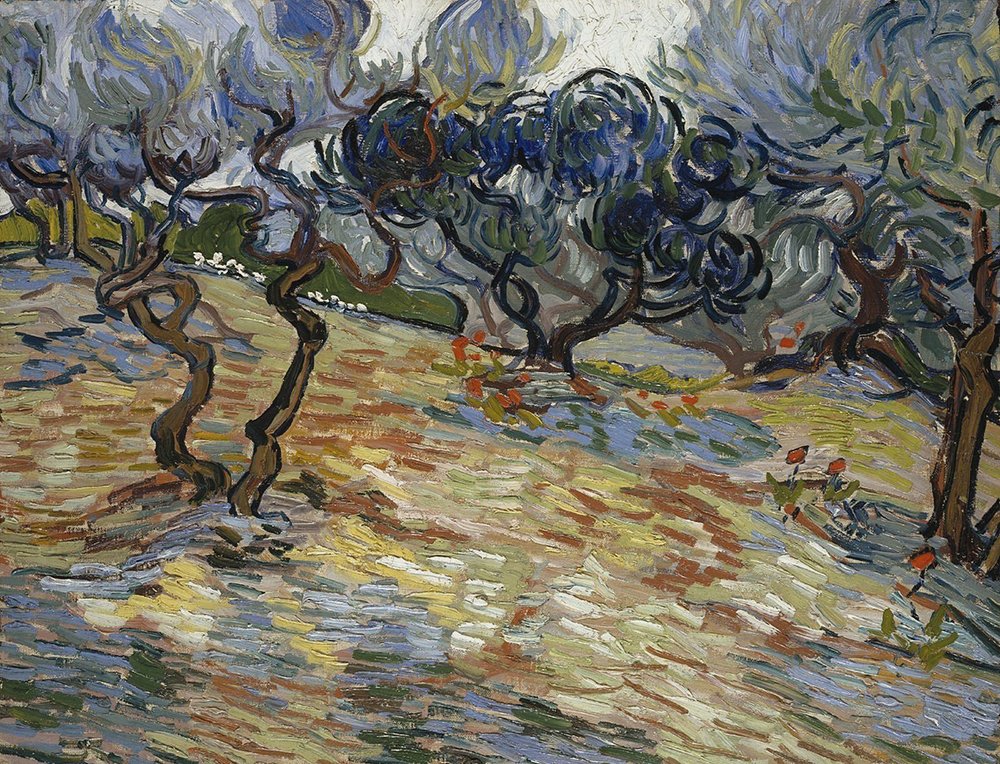 Tableau Olive Trees de Van Gogh pour illuminer votre salon contemporain