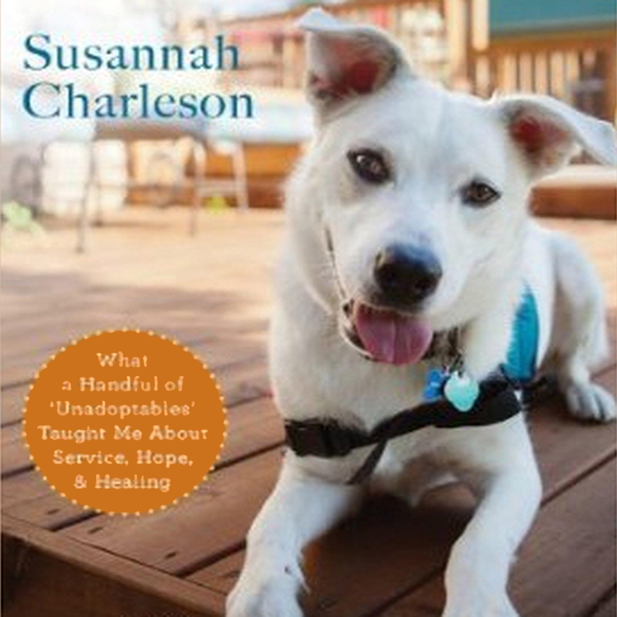 Cover art for The Possibility Dogs