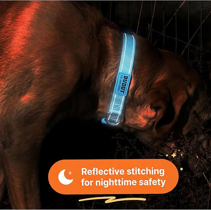 Collar para perro personalizado reflectante ajustable talla M miniatura 3