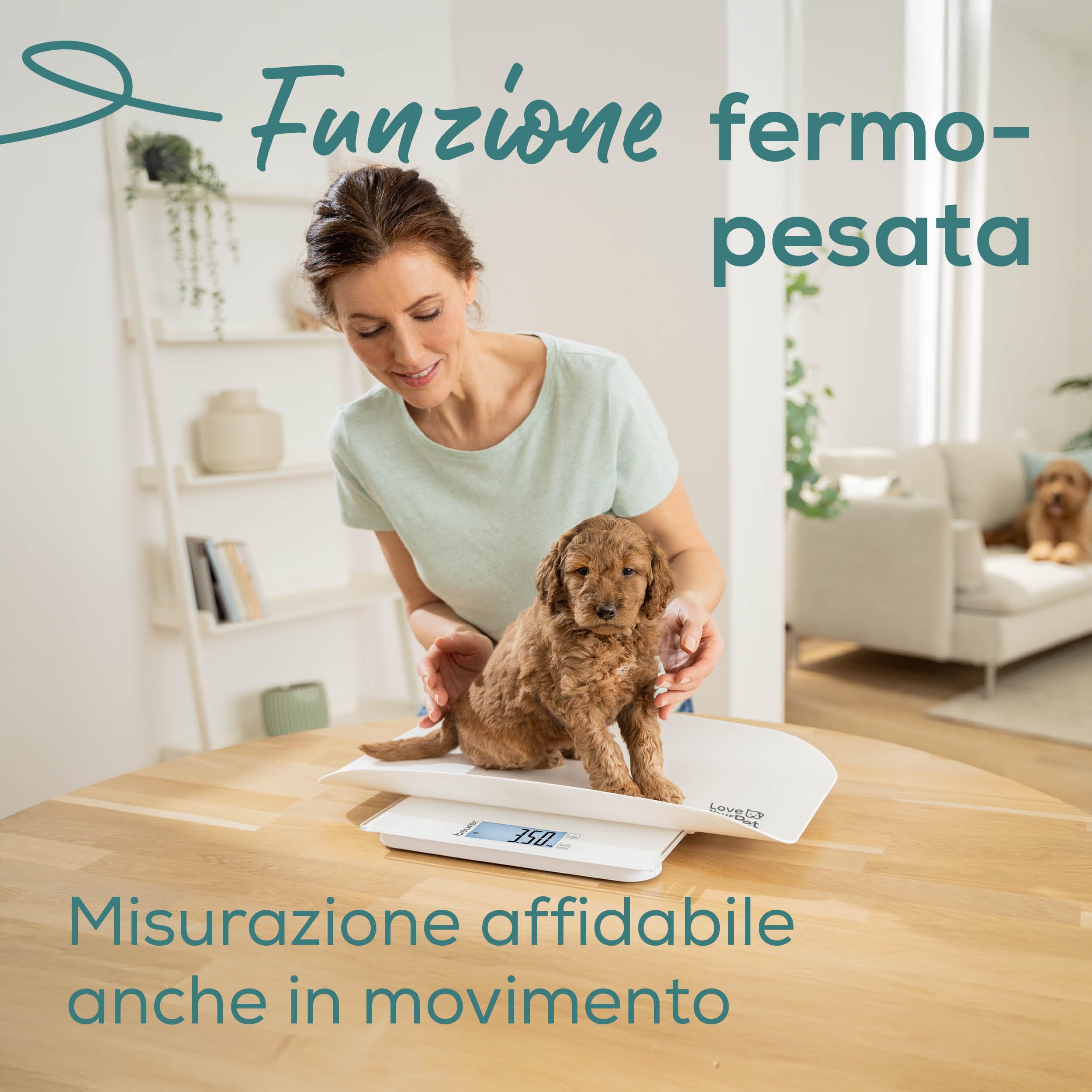 Beurer Love Your Pet Bilancia "Polly" per Animali Domestici e Persone, Piatto di Pesata Rimovibile, Bilancia per cuccioli e piccoli animali a partire da 100 g, con funzione Fermo-pesata, max 180kg