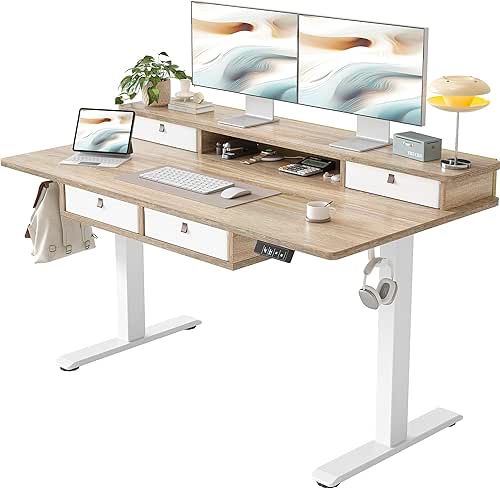 TIQLAB 55 * 28 Inch Standing Desk with Four Drawers,