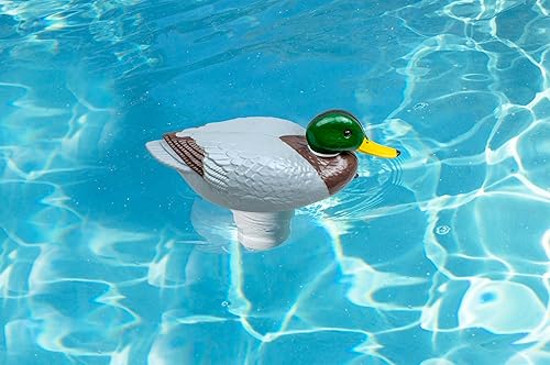 Miniatura 2 de Poolmaster Dispensador de cloro ajustable para piscinas y spas, Mallard