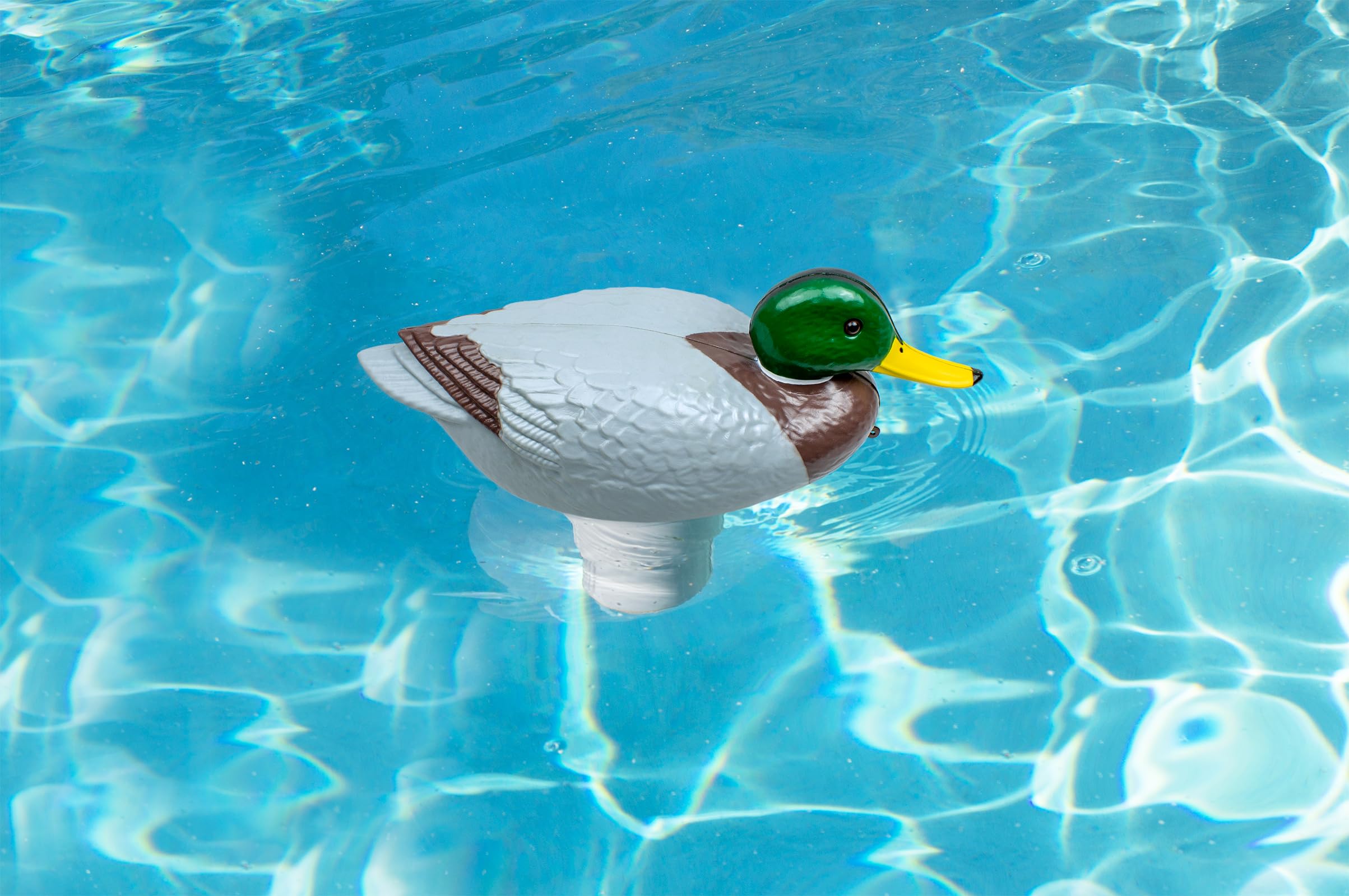 Poolmaster 32130 ChloriDuck Mallard - Dispenser di cloro