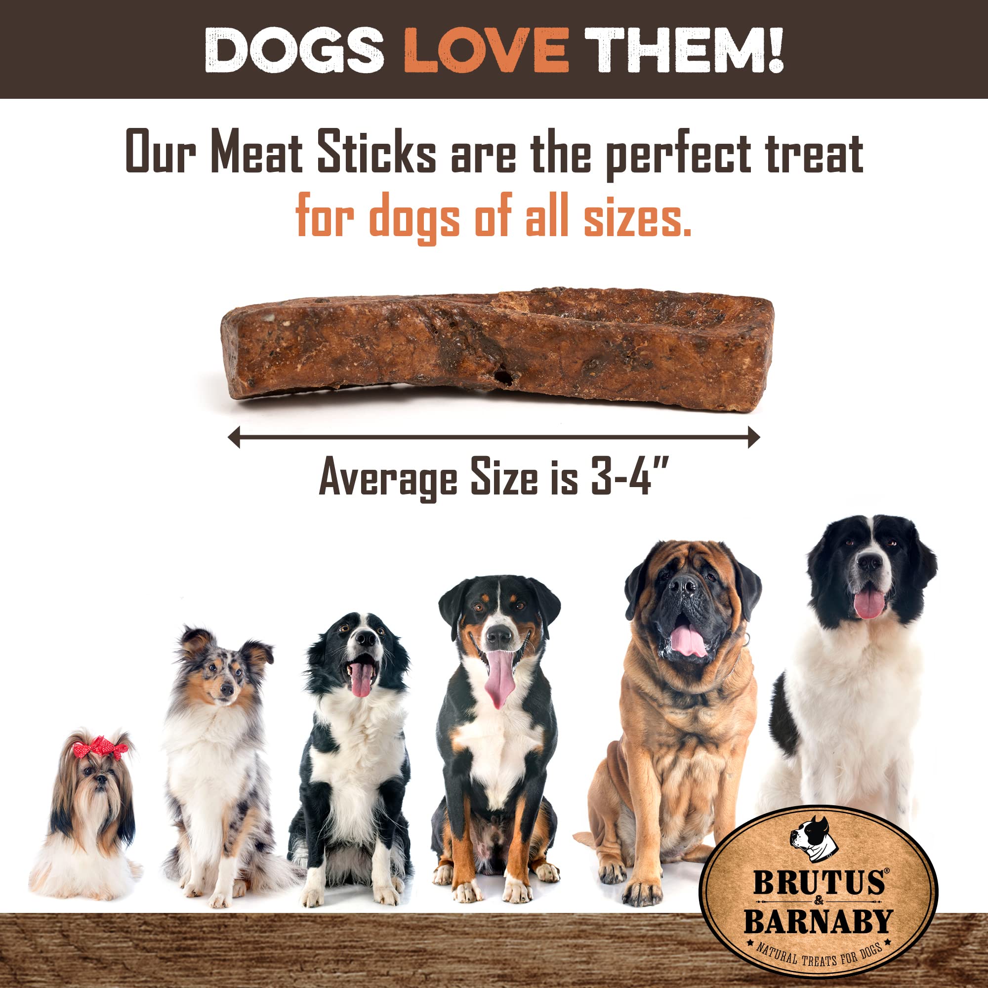 Why Do Dogs Like Sticks