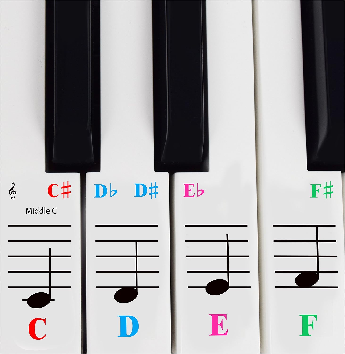 QMG Piano Stickers for 61-Key Keyboard, Color-Coded Notes, Visual Reference Tool for Beginners, Transparent and Removable, Leaves No Residue, Made in USA